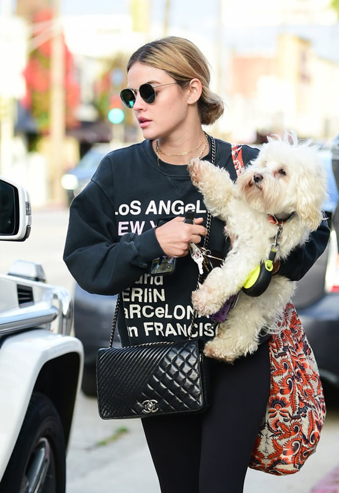 Модные брендовые сумки сезона 2019-2020