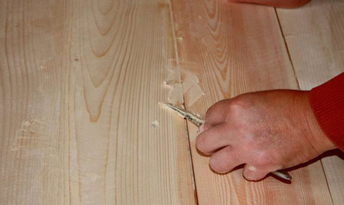 Як можна позбутися від двухвосток в приватному будинку?