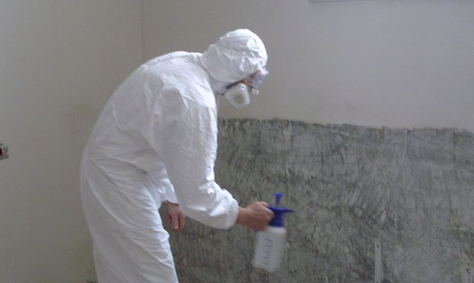 Який засіб від цвілі у ванній кімнаті вибрати?