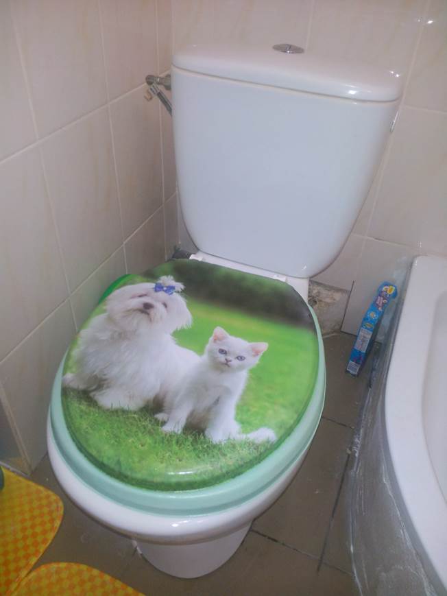 Запах з каналізації: що робити?